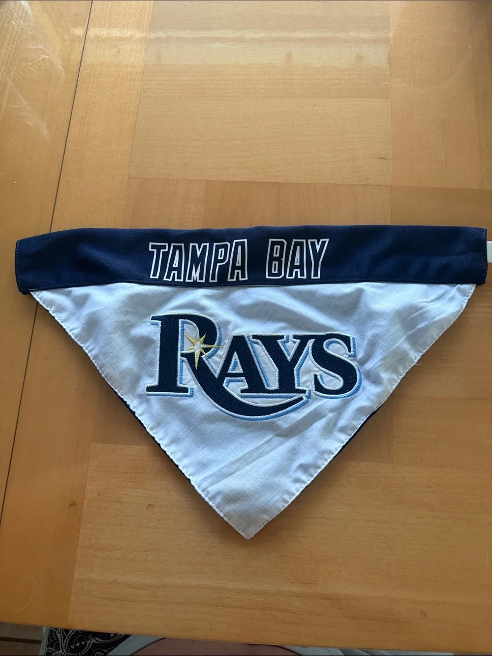 Tampa Bay Rays dog bandanna